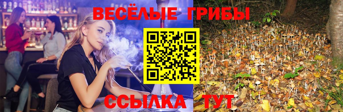 Псилоцибиновые грибы мицелий  Вход с VPN  где купить наркотик  Алейск 